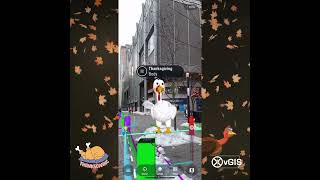 Someone Let These Turkey’s Loose in Vgis AR