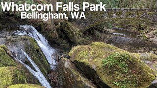 Hiking in Whatcom Falls Park | Bellingham, WA #nature