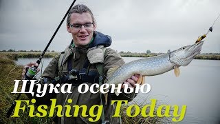 видео: Ловля щуки осенью. Топовые воблеры и железо - Fishing Today картинка: Ловля щуки осенью. Топовые воблеры и железо - Fishing Today