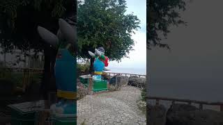 Town Glan Video
