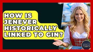 How Is Jenever Historically Linked To Gin? - Exploring The Benelux