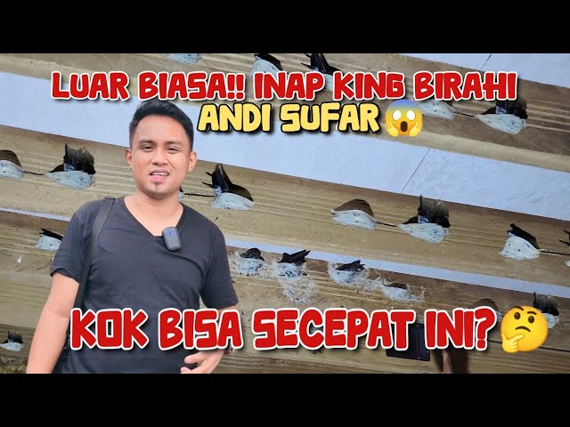 INAP KING BIRAHI Andi sufar benar² luar biasa. Kok bisa secepat ini? 😱😱 class=