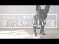 【フレブル飼って1年】Amazonと楽天で買った商品の中でよかったものを５つ紹介します！