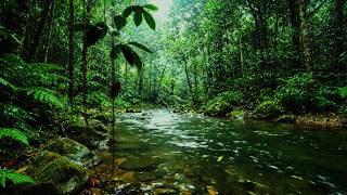 🌿 Rainforest River Sounds for Deep Sleep 💤 Relaxing Jungle Stream Ambience & Nature Sounds