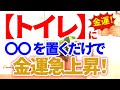 トイレに〇〇を置くと、金運が急上昇します✨｜風水インテリアで金運アップ｜トイレNGアイテムもご紹介