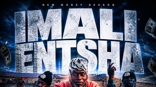 IMALI ENTSHA COVER BY ‎⁨[@blue_pappi⁩ ] OFFICIAL VISUALIZER 