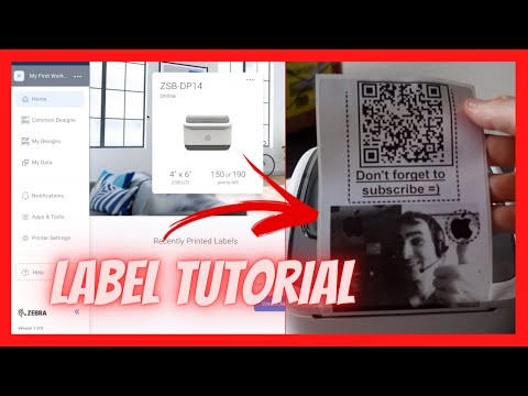 Zebra ZSB Label Designer Full Tutorial on Designing and Printing Thermal Labels