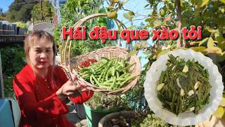 Today I'm out in the garden harvesting green beans to stir-fry with garlic for a simple yet delic...