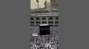 واصبر وما صبرك إلا بالله // سورة النخل للشيخ سعود الشريم