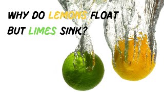 🍋 Why Do Lemons Float But Limes Sink? 🌊 | Fun Science Facts for Kids | Think & Tell