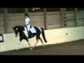 Storm Senter  Dressage Intro test Bfxxx