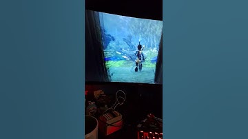 fable 2 hidden details after game