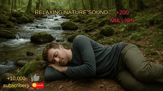 1 Hour Of Nature Sounds With Birdsong And Flowing Water For Relaxation 1 Saatlik Doğa Sesi