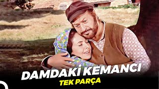 Damdaki Kemancı | Eski Türk Komedi Filmi Full İzle