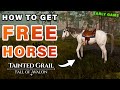 How to Get a FREE Horse EARLY ► Tainted Grail: The Fall of Avalon