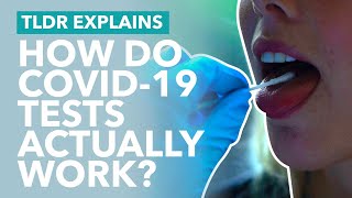 How do Coronavirus Tests Work? (Genetic \& Antibody) - TLDR News