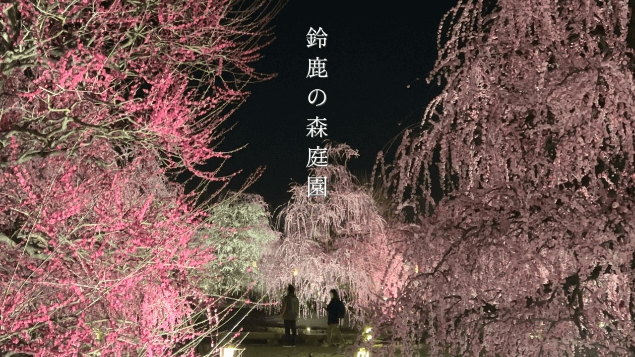 【神秘の絶景】まるで絵画のような「鈴鹿の森庭園」のしだれ梅 / ライトアップは異次元の世界