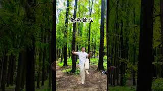 Eight Exercises movements (4) #health #kungfu #stretching #exercise #wellness #fitness #movement