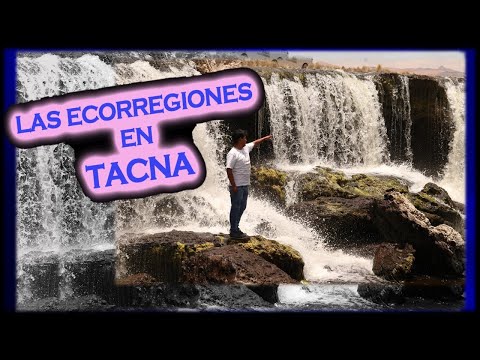 ECORREGIONES EN TACNA