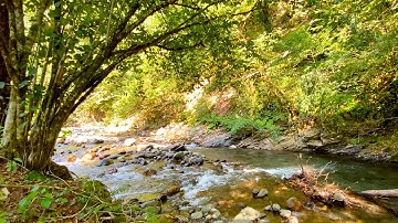 Sounds of Mountain Rivers and Forest Birds Singing. 12 Hours Of Deep Sleep.