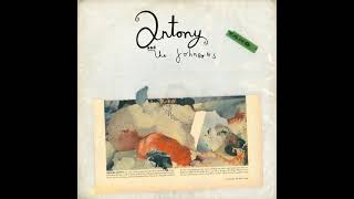 Antony And The Johnsons ‎- Swanlights