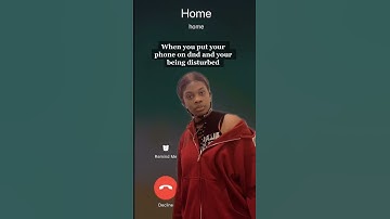 Humorous Take on DND Phone Disturbances#dnd #donotdisturb #humor #phoneannoyances