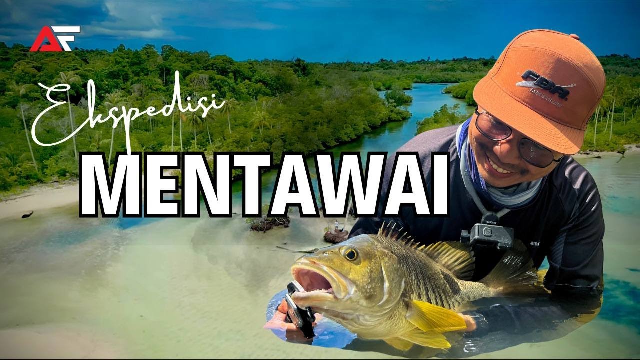Ekspedisi Memburu Spot Tail Bass di Mentawai, Indonesia