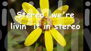 Video thumbnail of "Stereo by America"
