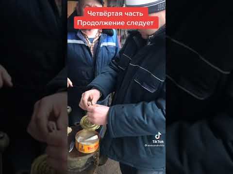 Русские едят сюррстремминг