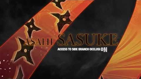 Access to Side Branch Occlusion