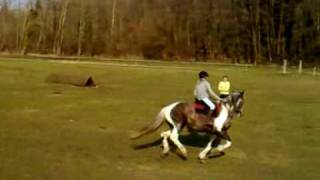 Horse Cross by petitemarion60 596 views 14 years ago 42 seconds