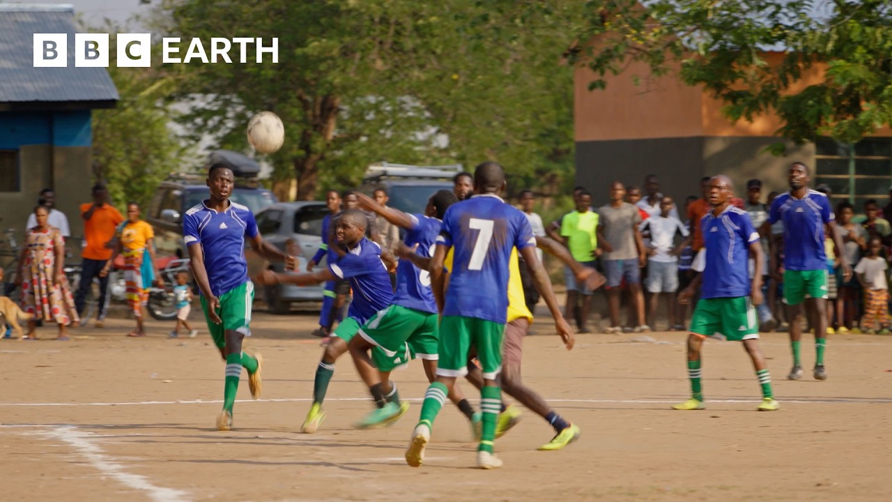 How Is Football Helping Save Zambia’s Carnivores? | Kingdom
