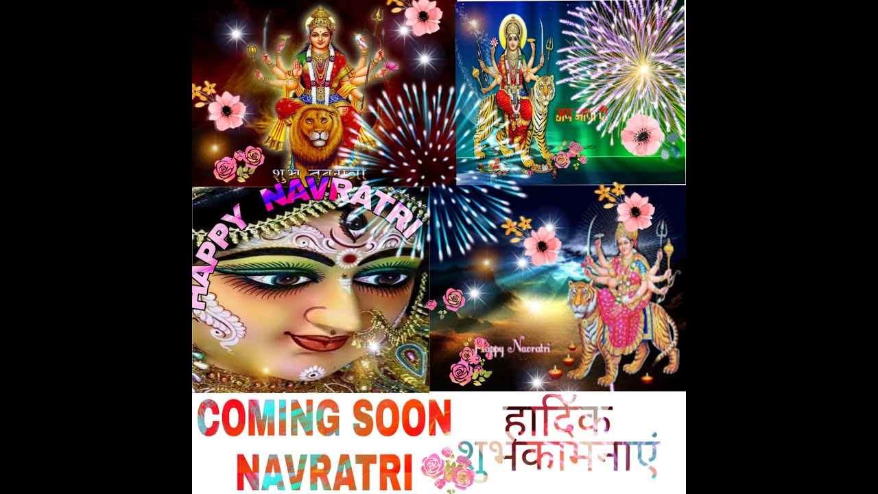 MAA Shera Wali New status 2019 🦁