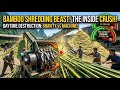The Beast Never Sleeps Furious Labor In A Night Shift Bamboo Factory