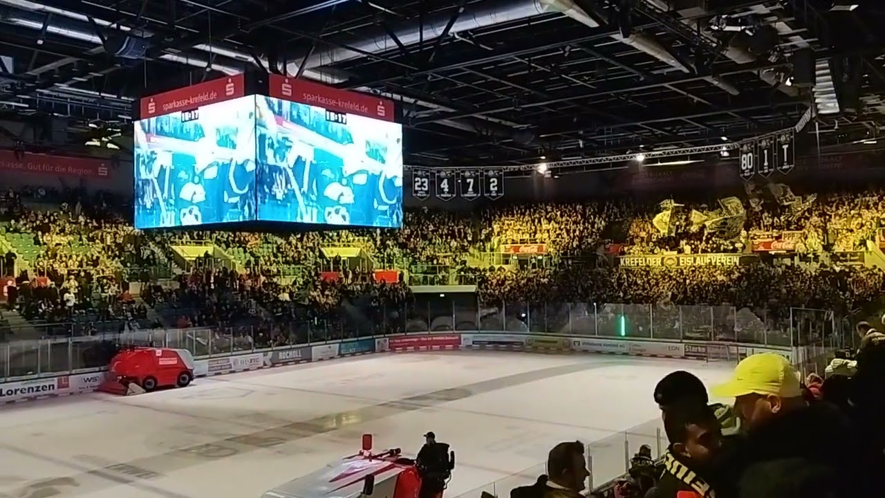 KEV Krefeld Pinguine vs. EC Bad Nauheim - DEL 2 - 05.01.2024 - Lied der Pinguine