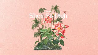 Tal Bachman - Shes So High (Loumé Remix)