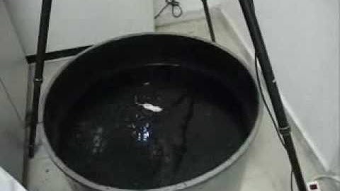 CONTROL MOUSE IN THE MORRIS WATER MAZE  LEARNING TEST SESSION