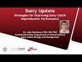 Reproductive Strategies For Second And Greater AI Services Of Lactating Dairy Cows
