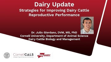 Reproductive Strategies for Second and Greater AI Services of Lactating Dairy Cows