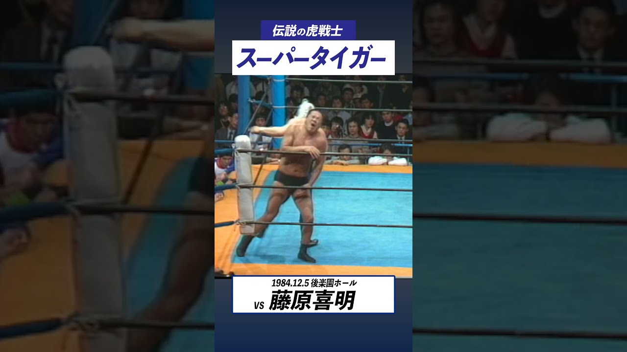 t*e様 「伝説の虎戦士 スーパータイガー」「蘇る幻の虎戦士 ザ・タイガー」まと Amazon.co.jp: 蘇る幻の虎戦士 ザ・タイガー〈復刻版〉 1984.7