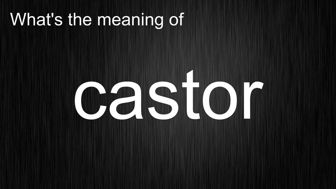 What's the meaning of "castor", How to pronounce castor?