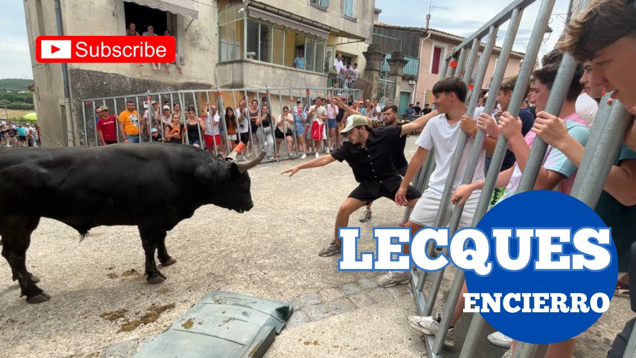 Lecques 🇫🇷 Traditionnelle Encierro du Dimanche matin ➡️ Manade DES ALPILLES ⛰️06/07/2025
