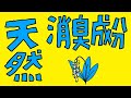 2分で分かる｜第95話｜天然の殺菌・消臭成分