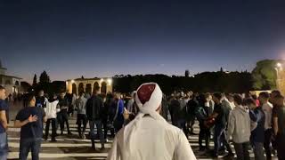 مظاهرات في المسجد الاقصى