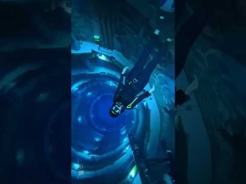 Discover a whole