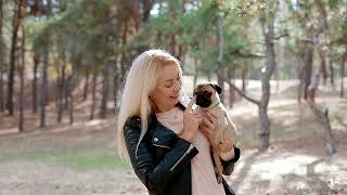 How Much to Feed a Pug Puppy?