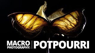 Colourful & Creative Potpourri Macro Photography Tutorial