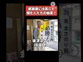 【都議選2025】出馬した帰化人たちの結果!!#日本 #政治 #都議選2025 #帰化 #民主主義 #shorts #piano