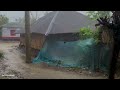 Super heavy rain and loud lightning in bangladeshi villages  village life  rainy day  rain walk