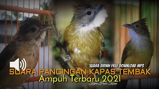 Suara Buat Pancingan Kapas Tembak Mp3 Free Download Terbaru 2021